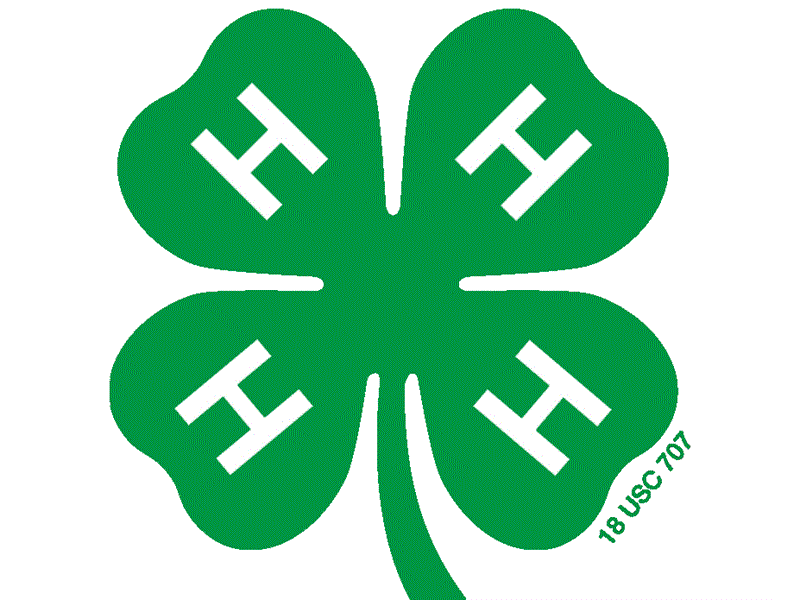Logo for 2026 Marshall-Putnam 4-H Show