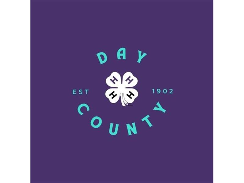 Logo for 2026 Day County Fair